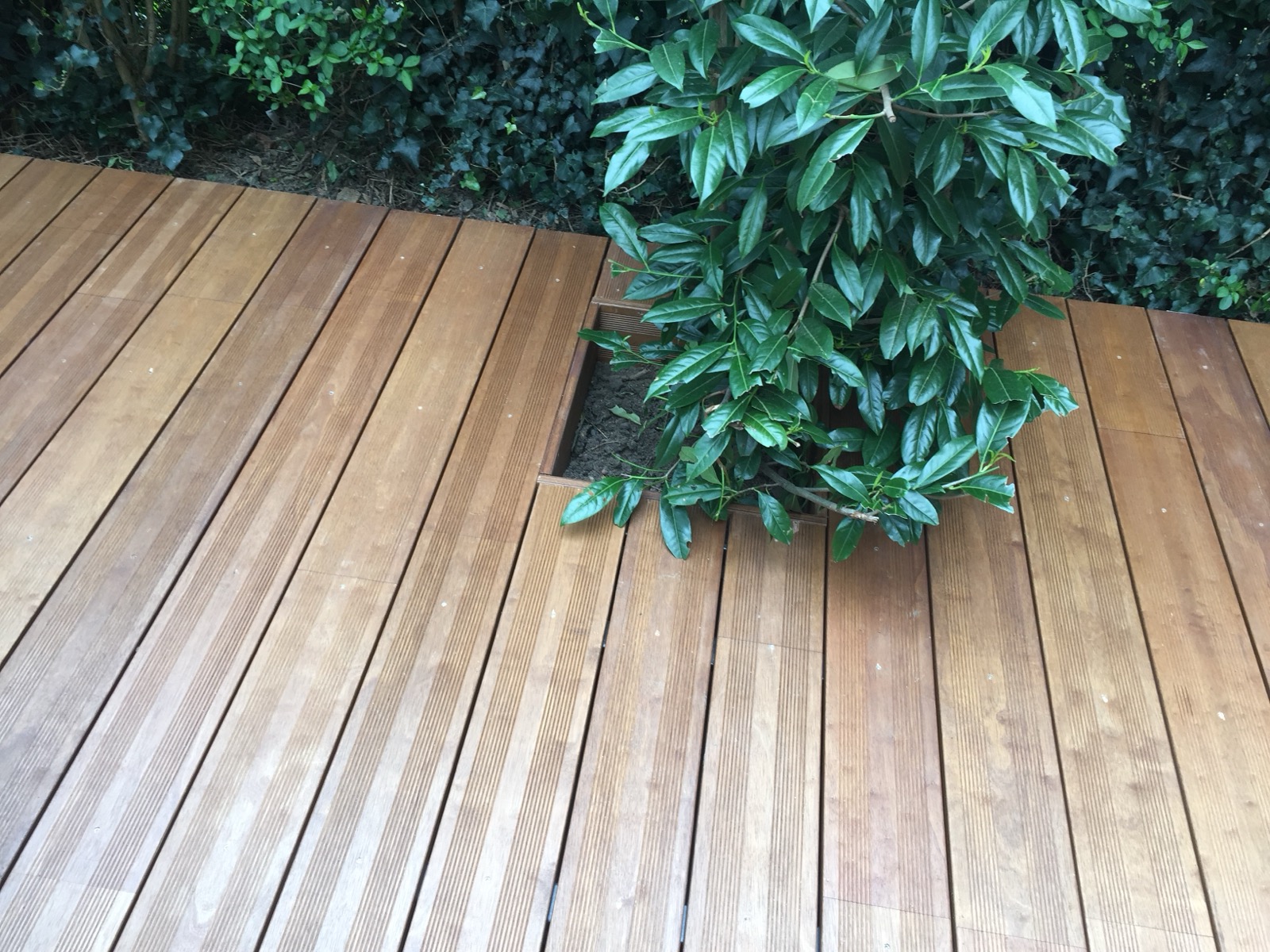 Terrasse en Bois Exotique — Photo 3